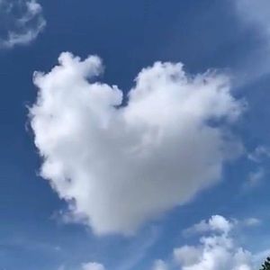 Meet your Posher, Cathy